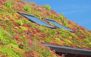 Lymbridge Green living roof systems